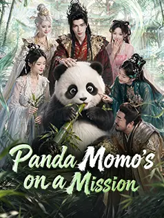 Panda Momo's on a Mission