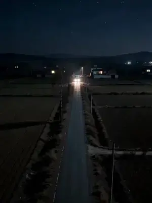 Zehirli deniz ürünleri çalındı