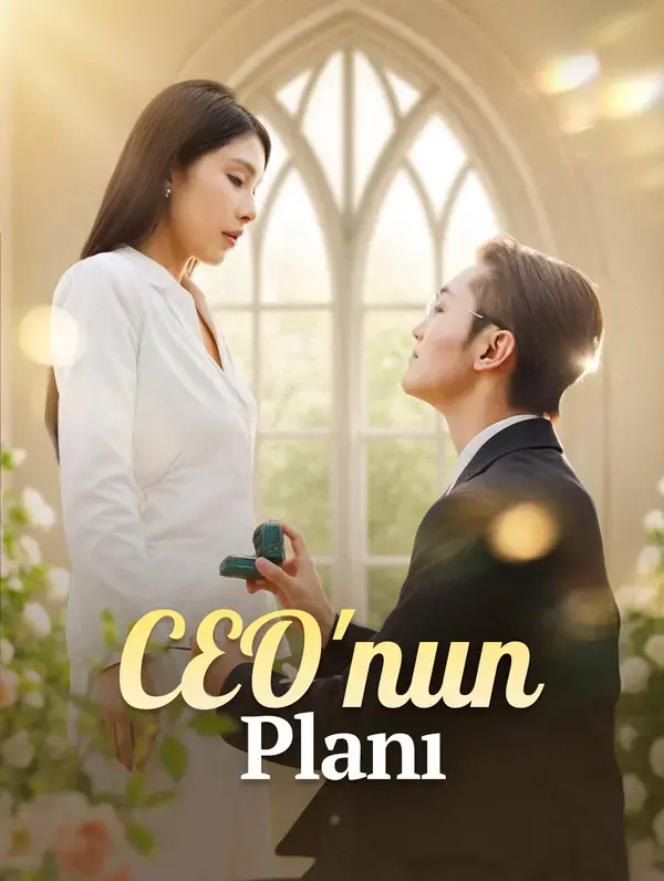 CEO'nun Planı