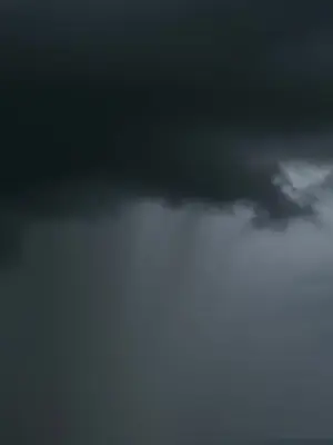 Ahırdaki Omega'nın Gizli Kokusu