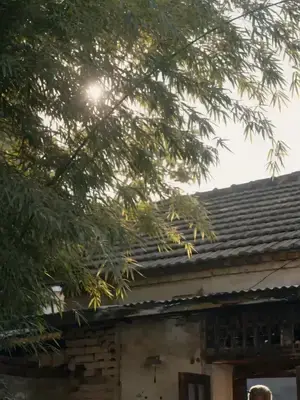 Tam puanlı dahi varisin dönüşü