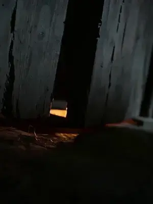 Yanlış kocayla evlenip yükseldim