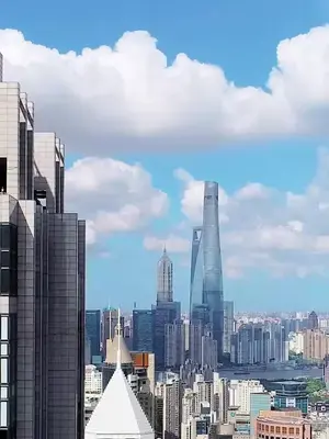 Sự Trả Thù Của Chàng Rể Tỷ Phú
