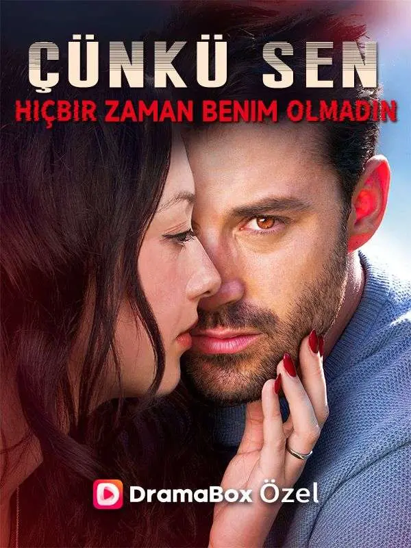 Çünkü Sen Hiçbir Zaman Benim Olmadın