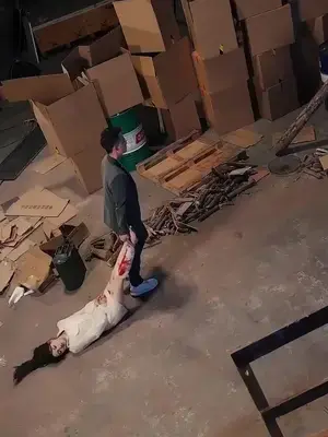 Takıntılı CEO yeniden doğuyor