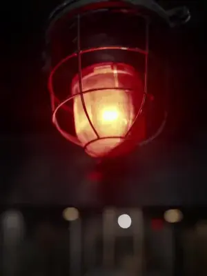 Hapisten kaçan aileye kavuştu