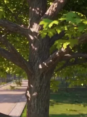 Hayvanları anlayan kızın bahçesi