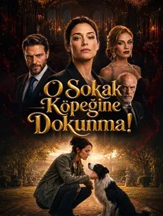 O Sokak Köpeğine Dokunma!